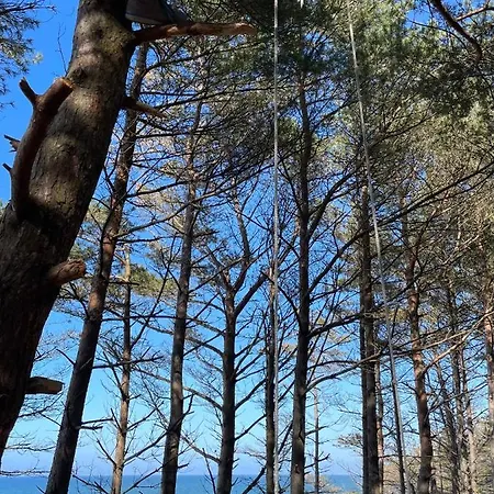 Konik Morski アパート ウェバ