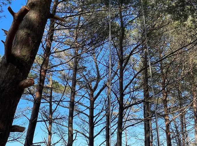 Konik Morski 公寓 莱鲍