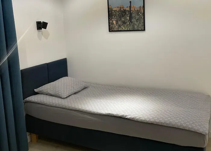 公寓 Konik Morski 莱鲍